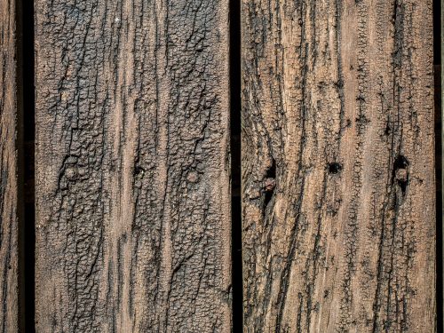 Beautiful Old Wood Texture