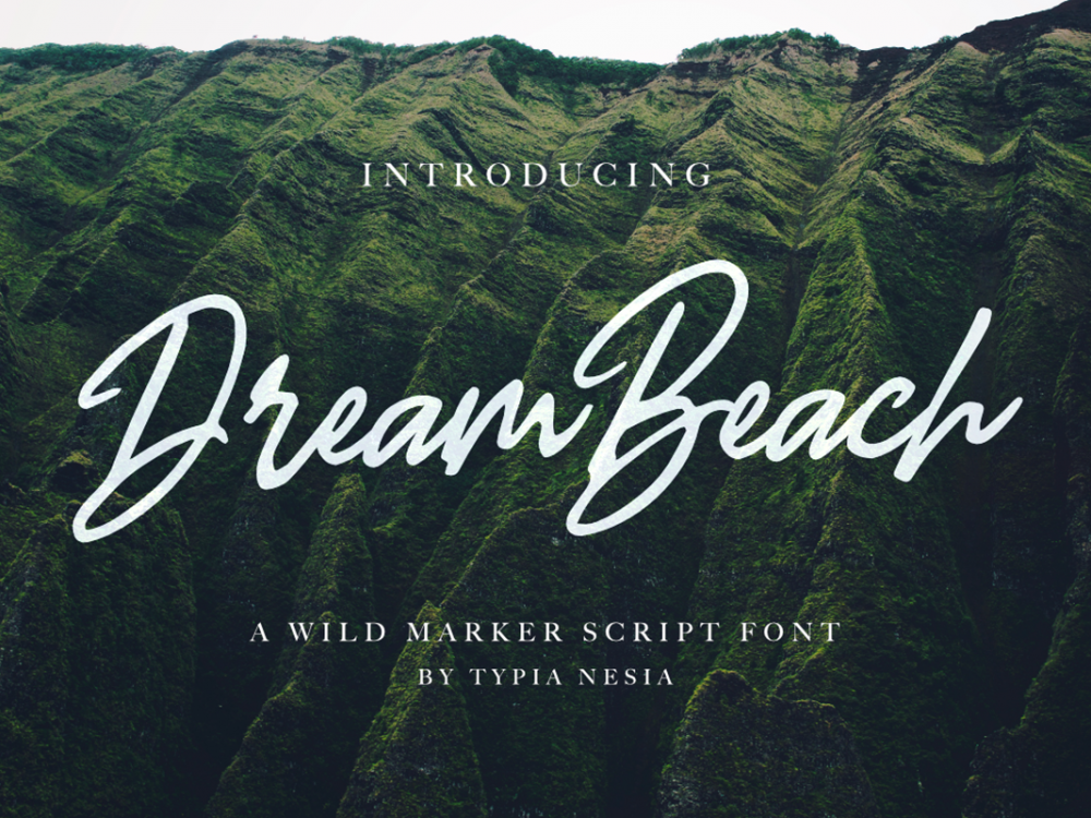 Dream Beach Script Demo
