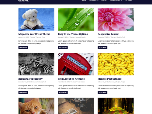 Gridbox WordPress Theme