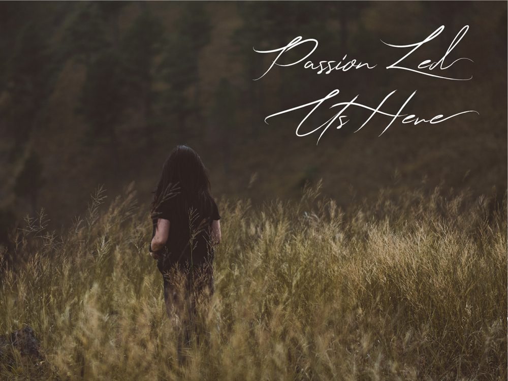 Lihataja Brush Script Font