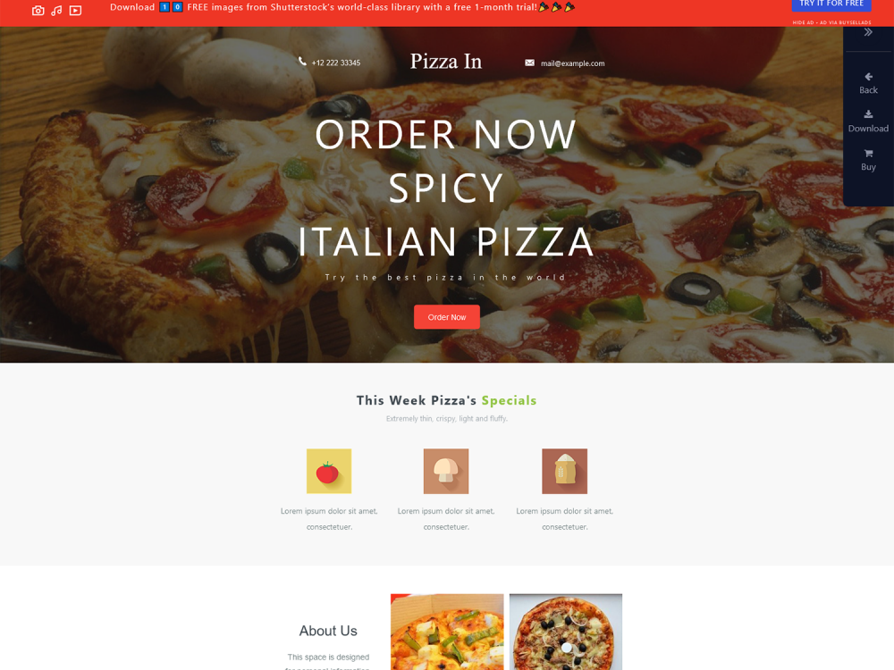 Pizza In a Newsletter Template