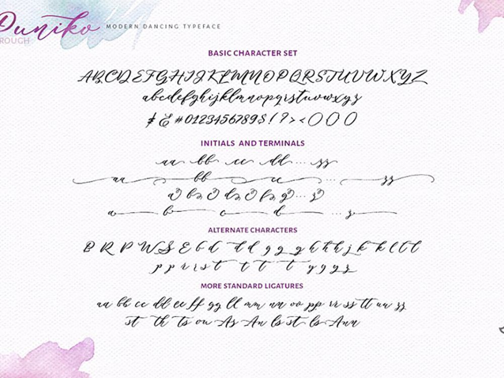 Puniko Rough Script Demo