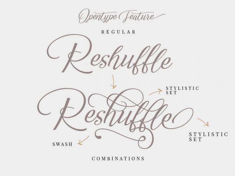 Reshuffle Script Free Demo Font