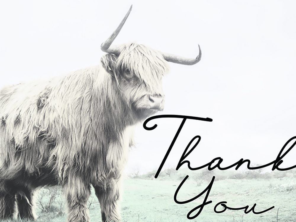 Selfiana Handwritten Font