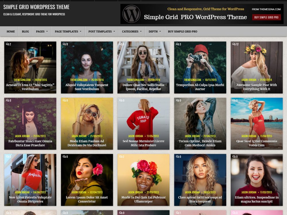 Simple Grid WordPress Theme