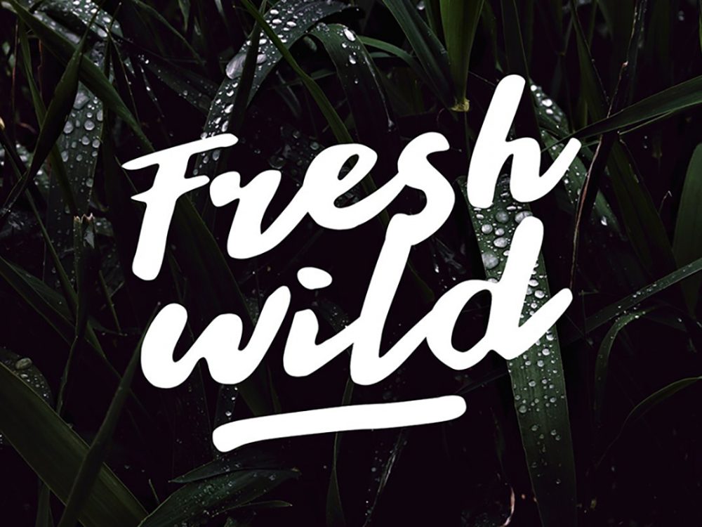 Stay Young Handlettering Display