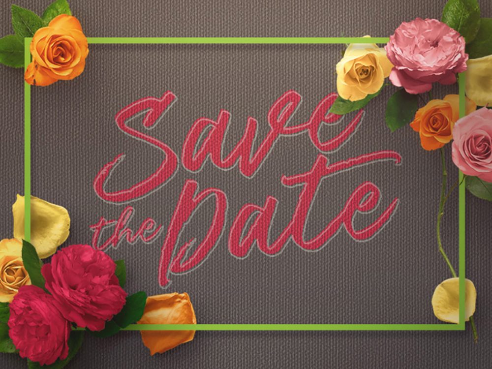 Strike One Script Free Font