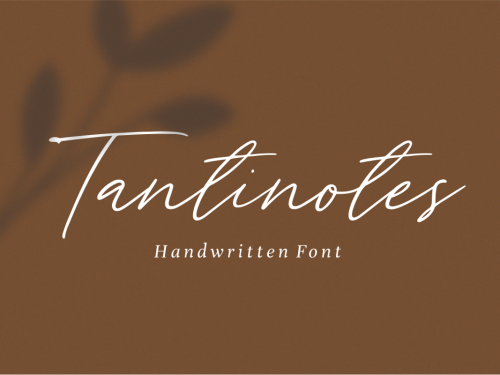 Tantinotes Handwriting Script
