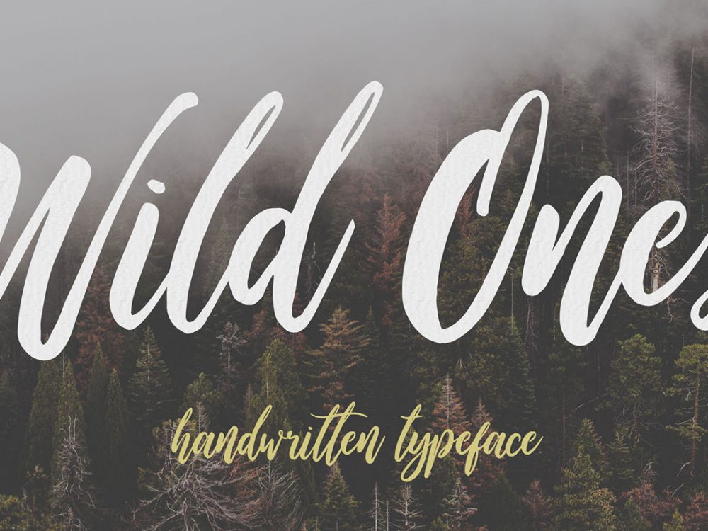 Wild Ones Free Demo Font