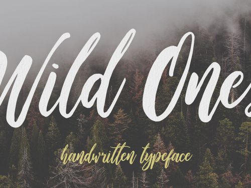 Wild Ones Free Demo Font