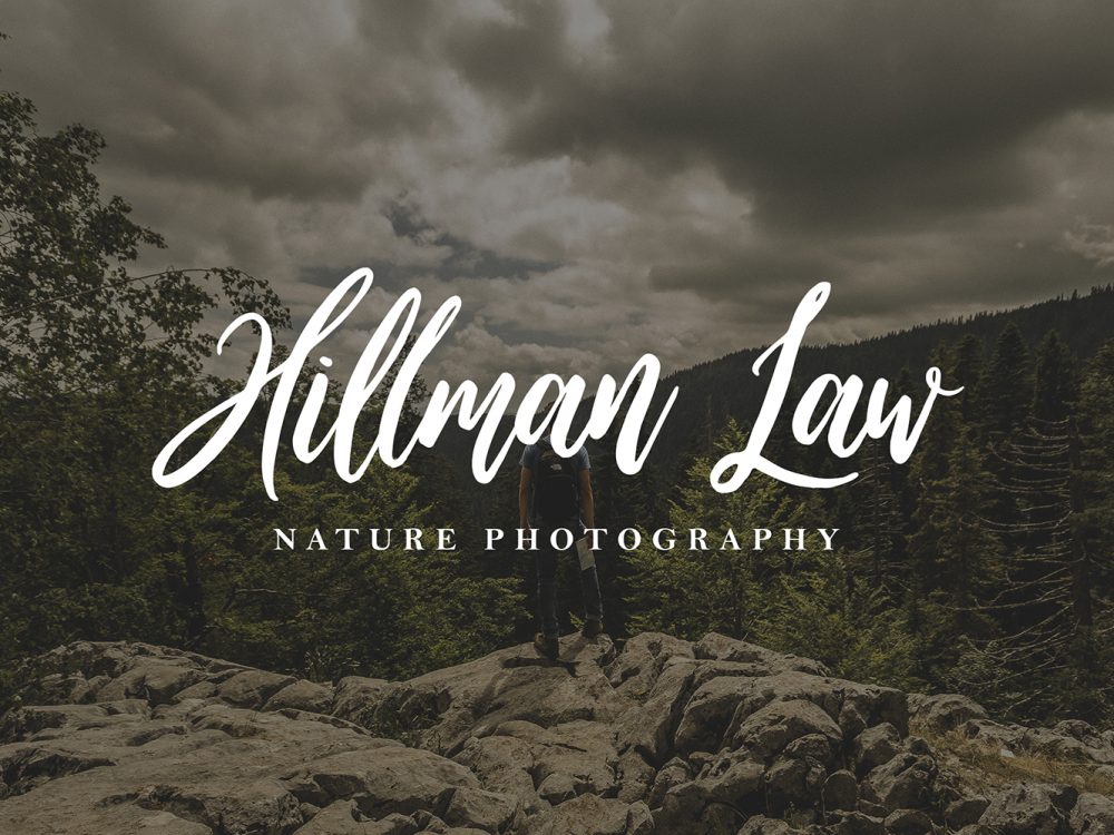 Wild Ones Free Demo Font