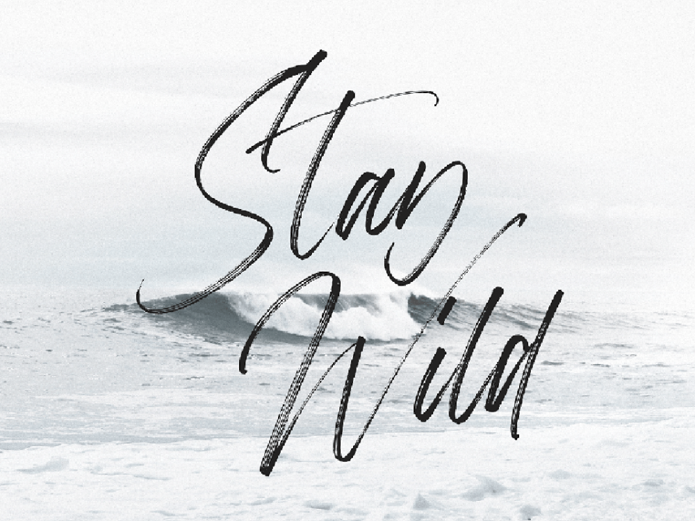 Aerobrush Handlettering Brush Script