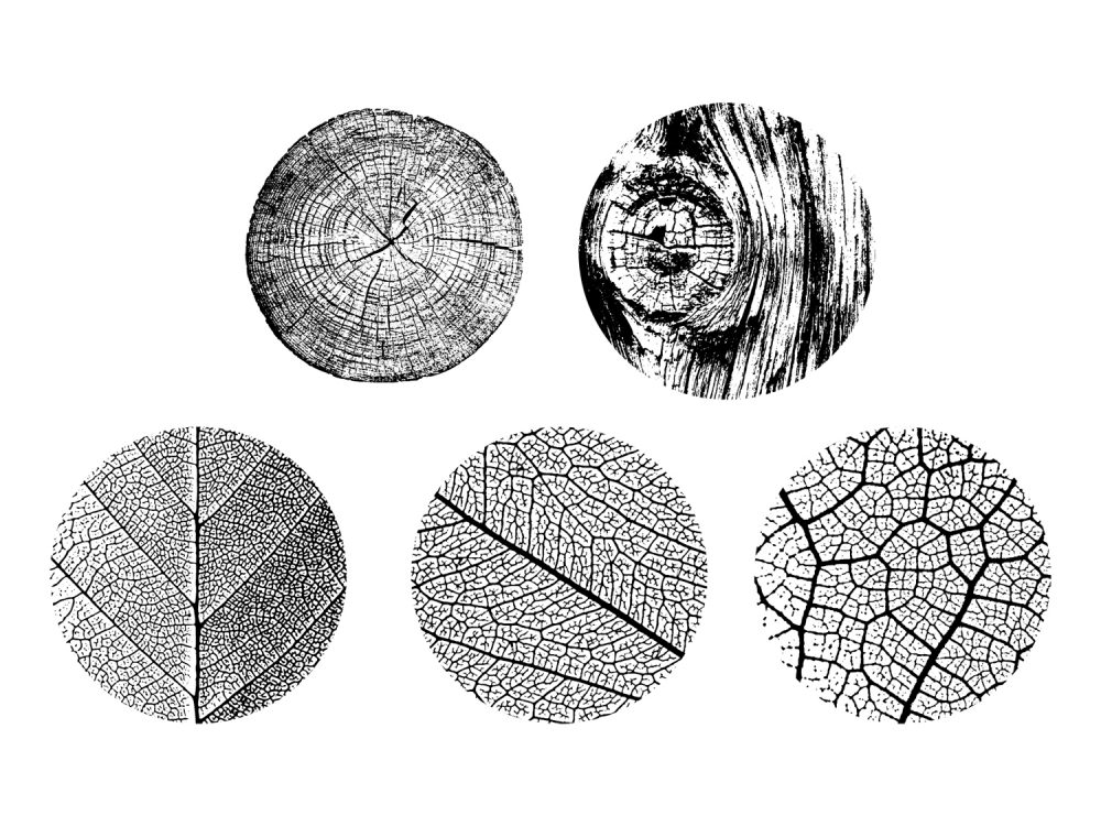 5 Organic Textures