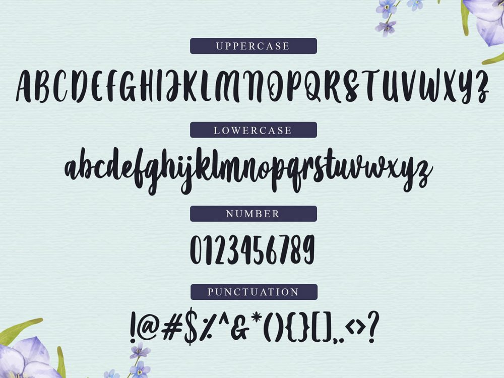Amanise Script Font Demo
