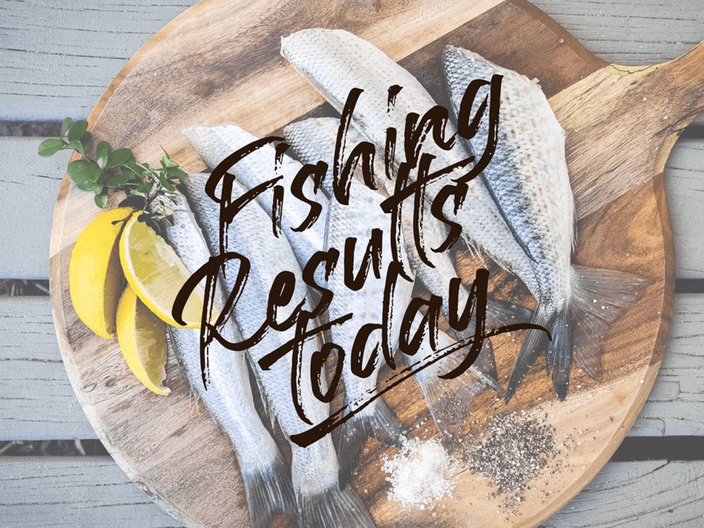 Free Battaghorse Handbrush Font