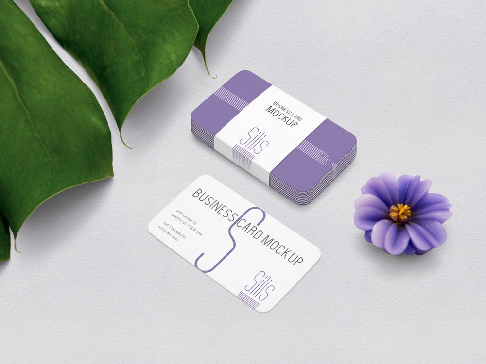Free Business Card Mockup