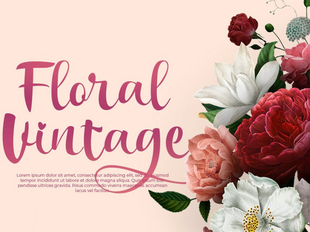 Free Demo Bakira Script Font