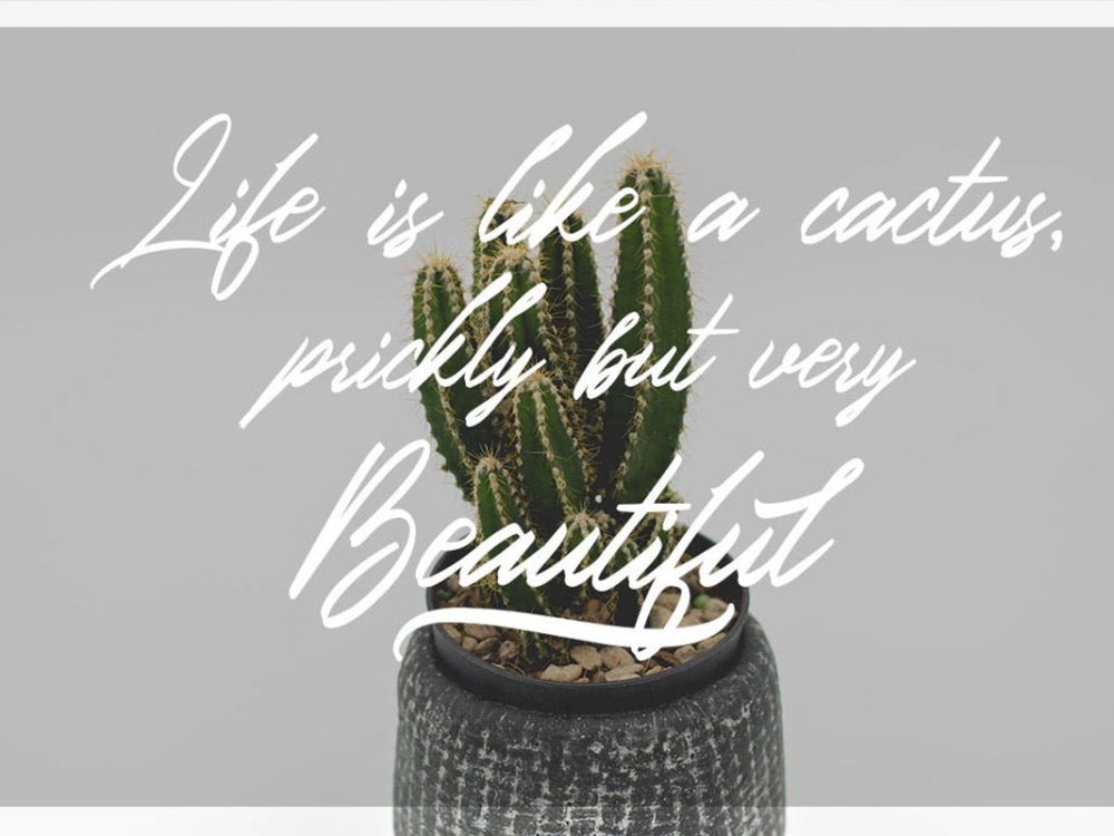 Free Italian Horskey Script Font