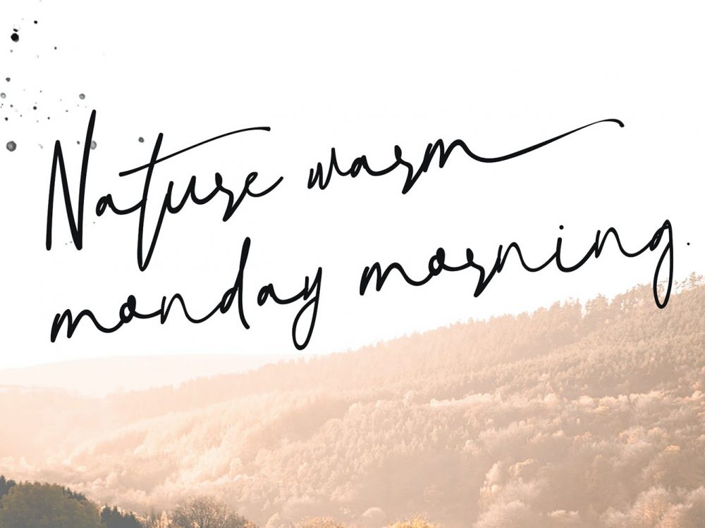 Free Natural Signature Script Font