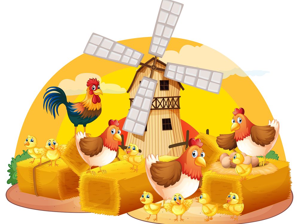 Hens and Chicks Illustration