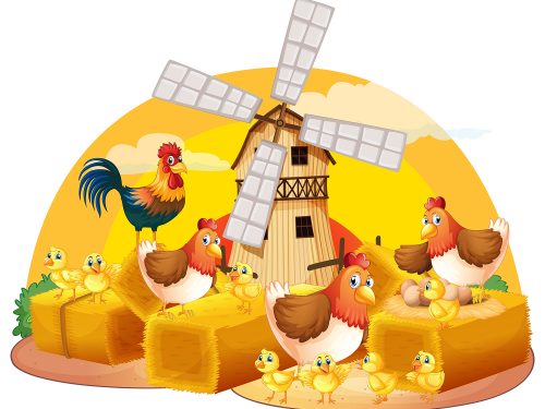 Hens and Chicks Illustration