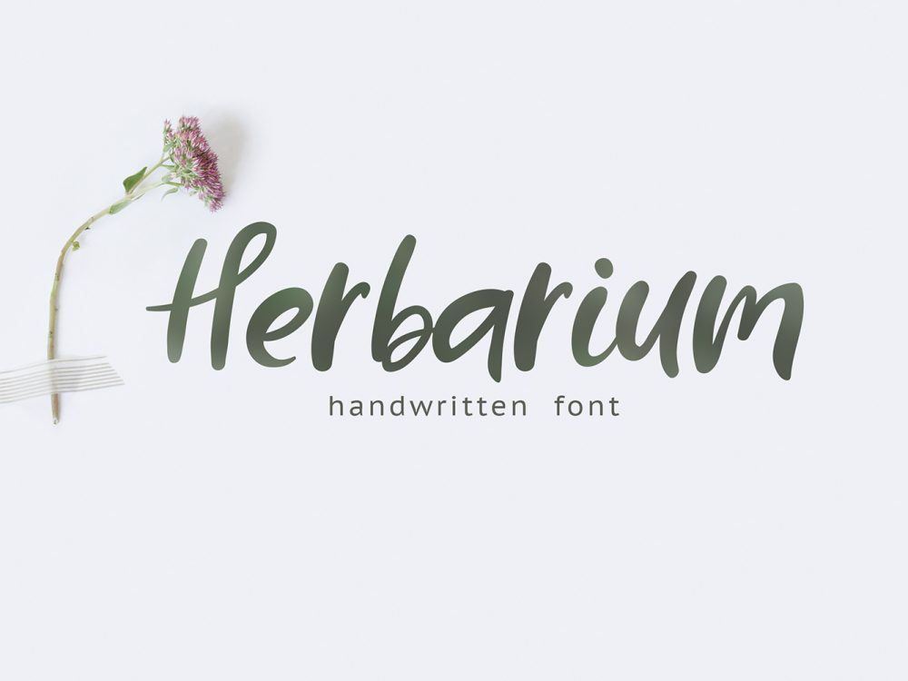 Herbarium Free Font
