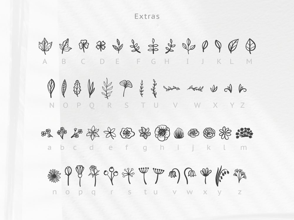 Herbarium Free Font