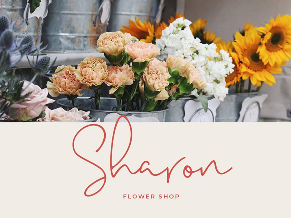 Melatti Handlettering Script