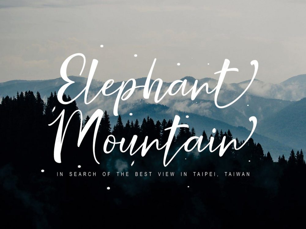 Nicolette Script Free Demo