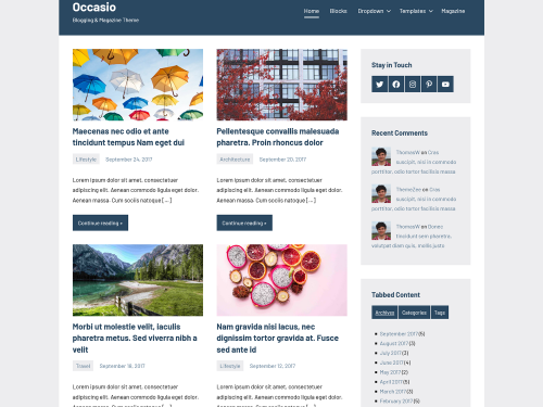 Occasio WordPress Theme