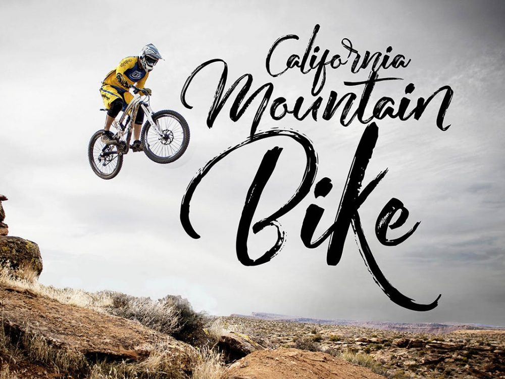 Redlight Script Free Demo