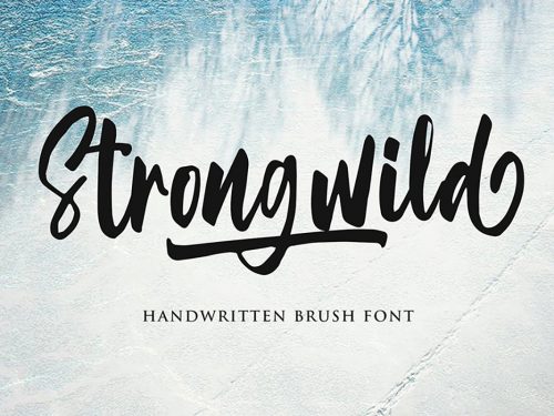 Strongwild Handwritten Brush Font