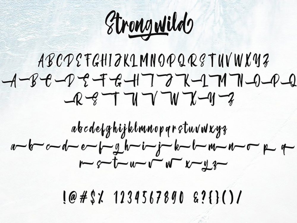 Strongwild Handwritten Brush Font