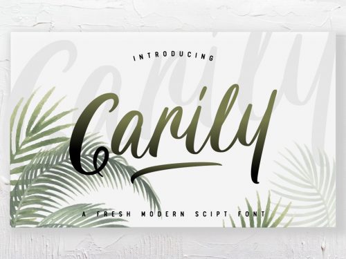 Carily Brush Font