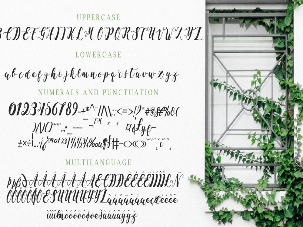 La Vi En Rose Free Script Font