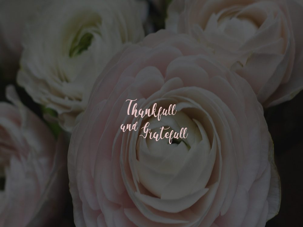 La Vi En Rose Free Script Font