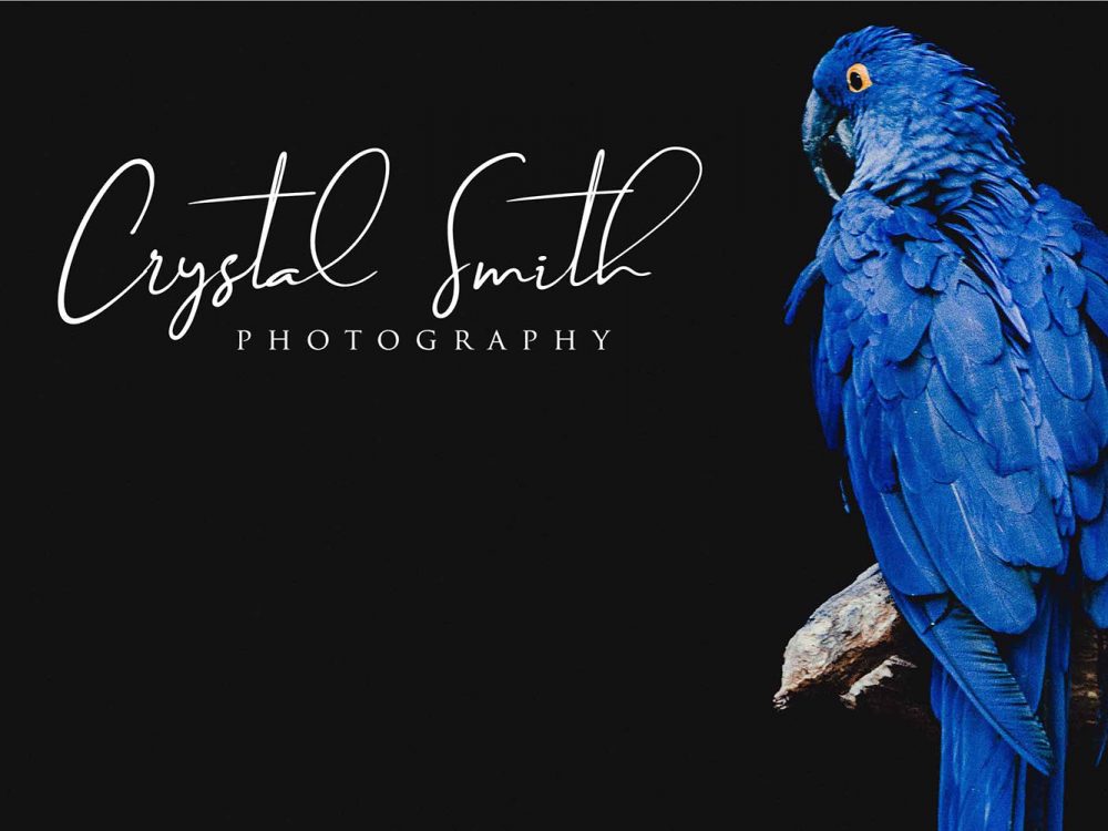 Brilliant Signature Typeface