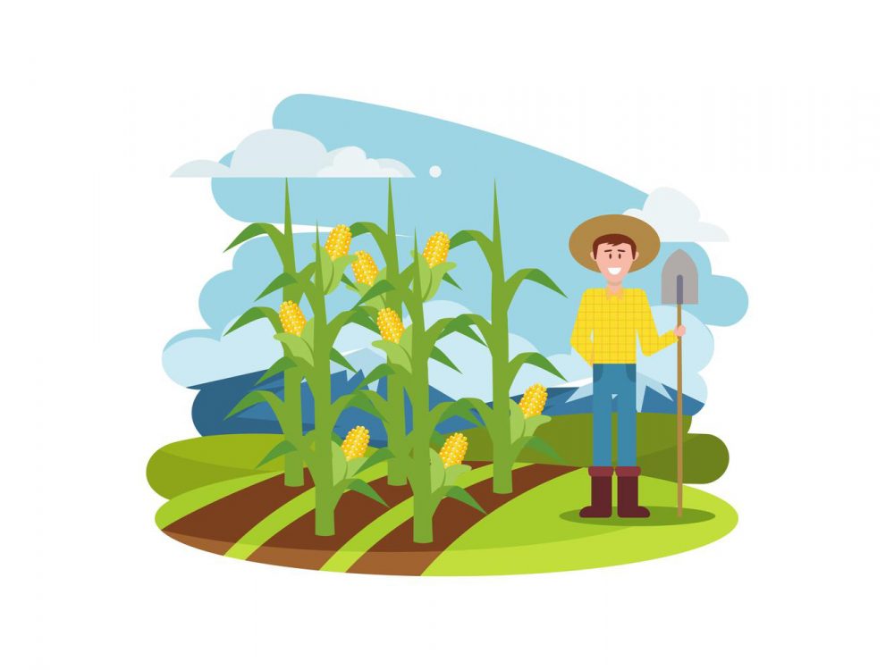 Farmer Working in the Farm Illustration