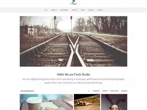 Finch Free Homepage PSD
