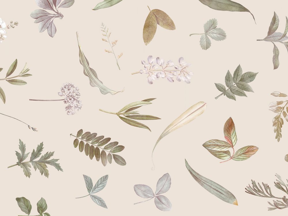 Floral Watercolor Free Pattern