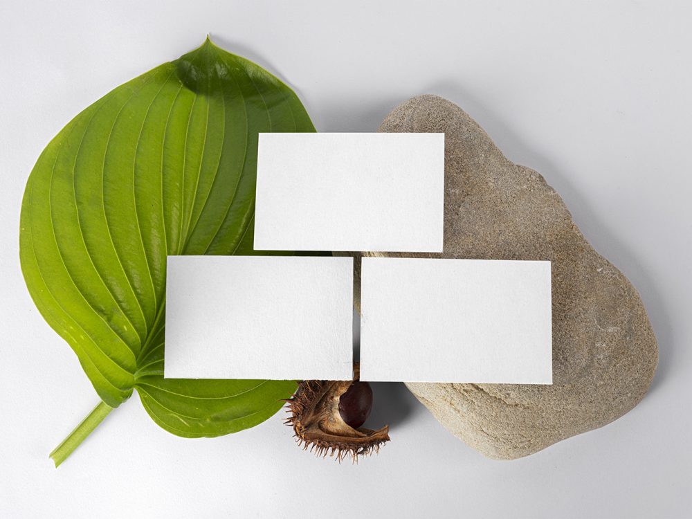 Free Business Cards Mockup