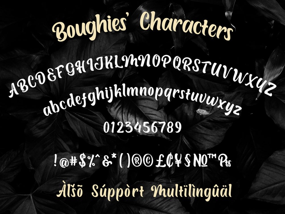 Free Font Boughies
