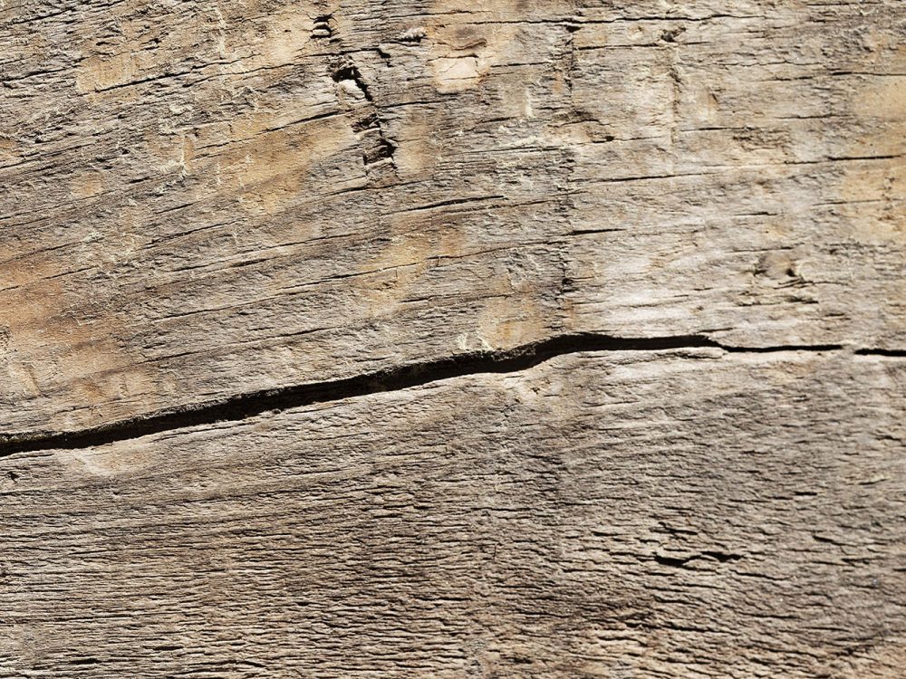 Light Brown Wood Texture