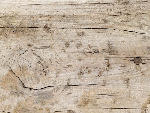 Light Brown Wood Texture