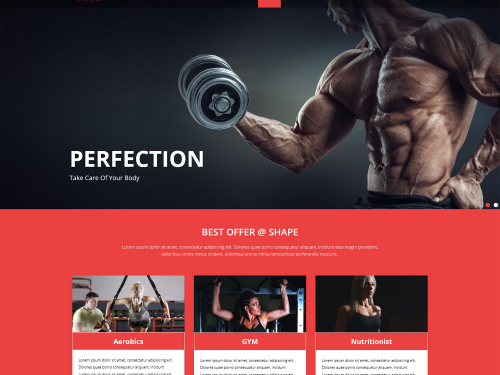 Shape Free Fitness Website Template