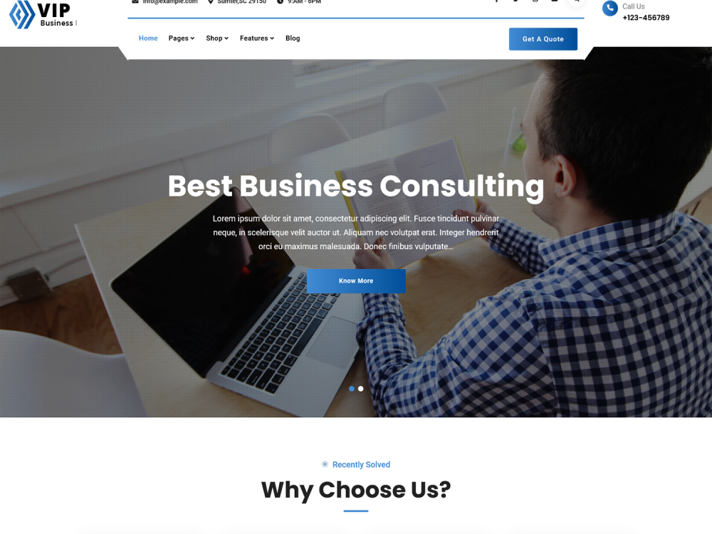 VIP Business WordPress Theme