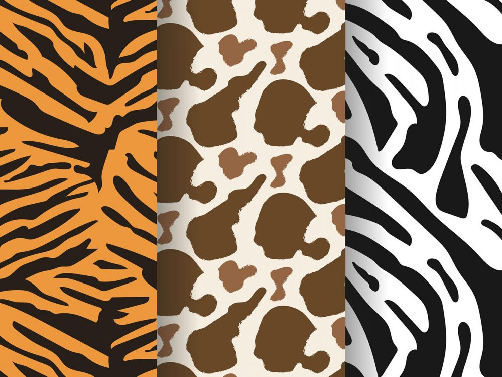 Animal Print Pattern Set