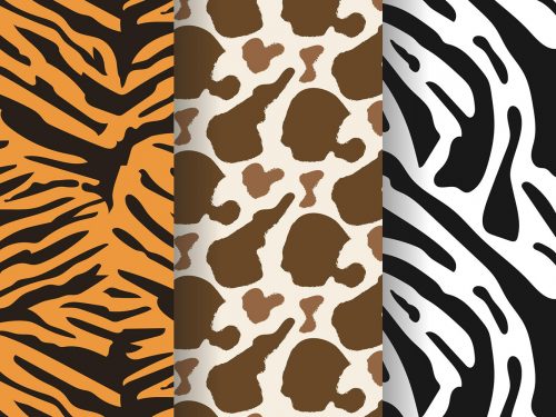 Animal Print Pattern Set