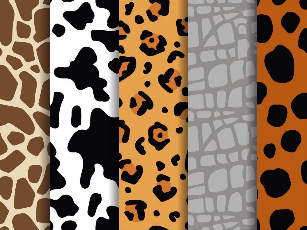 Animal Print Pattern Set
