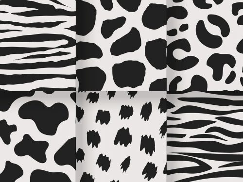 Animal Print Pattern Set
